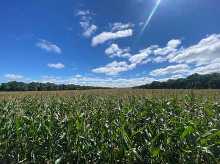 Land in Logan County, North Dakota