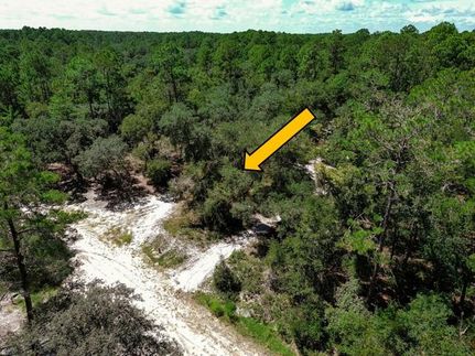 Recreational Property in Putnam County, Florida