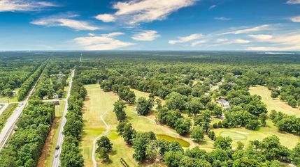Undeveloped Land in Berkeley County, South Carolina