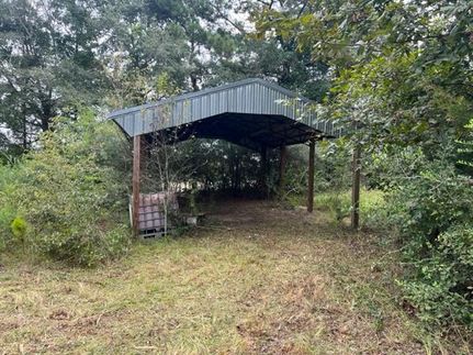 Undeveloped Land in Covington County, Alabama