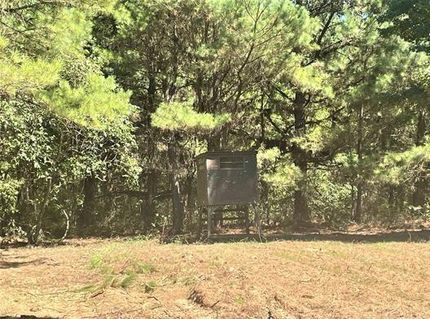 Farm and Ranch in Red River County, Texas