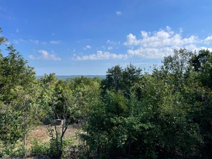 Undeveloped Land in Ozark County, Missouri