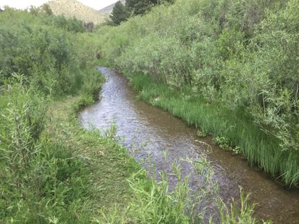 Undeveloped Land in Chaffee County, Colorado