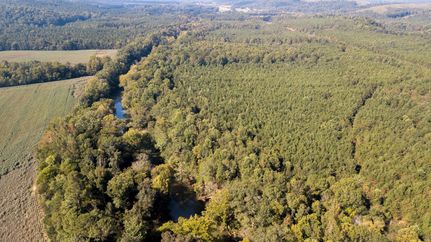 Riverfront Property in Cherokee County, Alabama