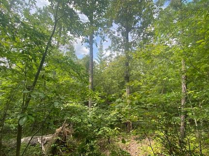 Farm and Ranch in Bibb County, Alabama