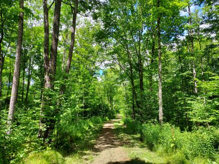 Farm and Ranch in Lincoln County, Wisconsin