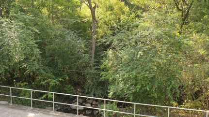 Undeveloped Land in Escambia County, Alabama