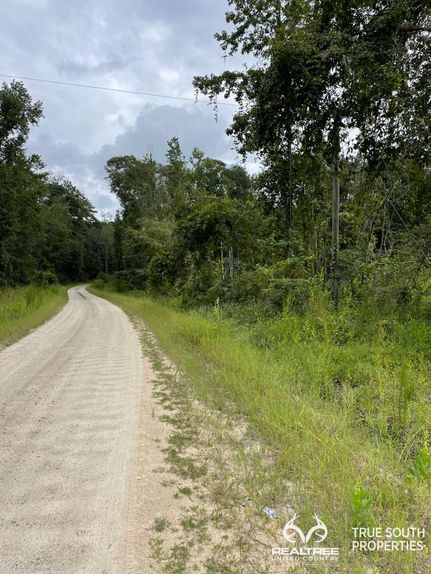 Undeveloped Land in Hampton County, South Carolina