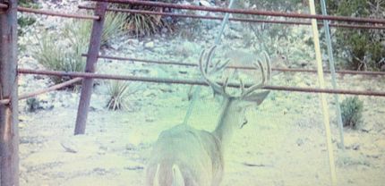 Recreational Property in Edwards County, Texas