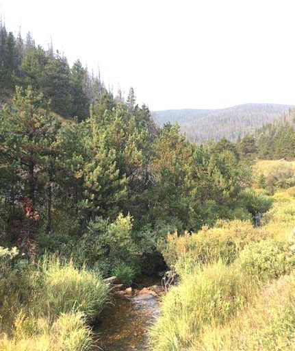 Oceanfront Property in Eagle County, Colorado