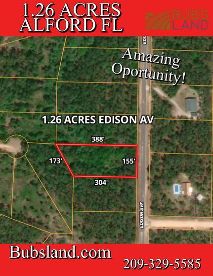 Undeveloped Land in Jackson County, Florida