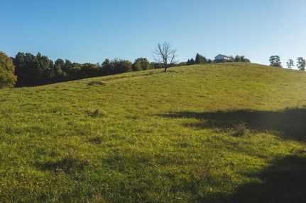Undeveloped Land in Floyd County, Virginia