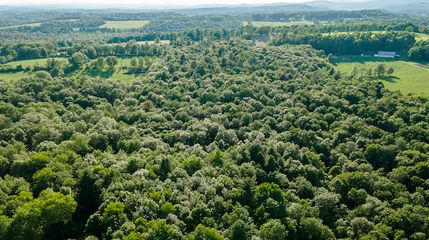 Undeveloped Land in Sullivan County, New York