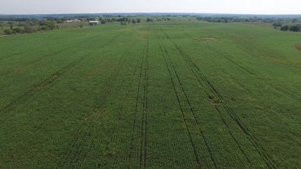 Undeveloped Land in Sullivan County, Missouri