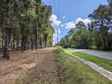 Timberland Property in Suwannee County, Florida