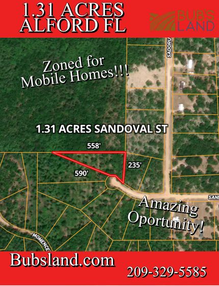 Undeveloped Land in Jackson County, Florida