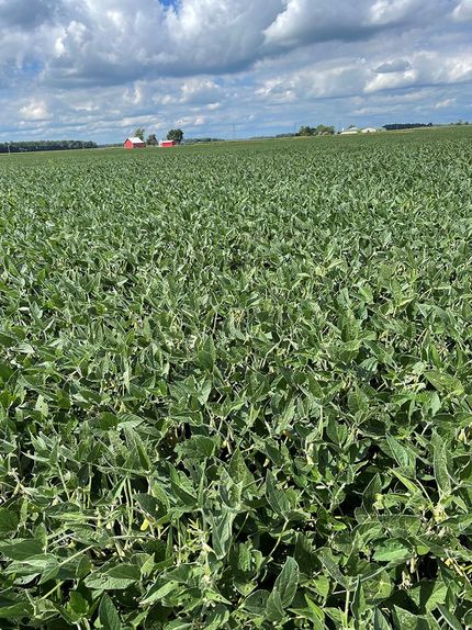 Timberland Property in Wells County, Indiana