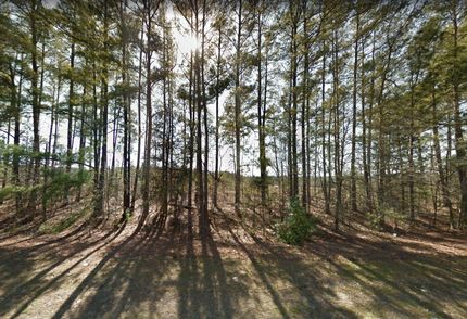 Undeveloped Land in Harrison County, Texas