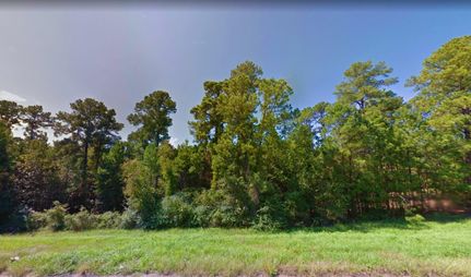 Undeveloped Land in Polk County, Texas