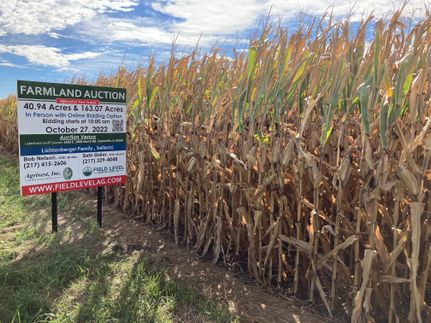 Undeveloped Land in Christian County, Illinois