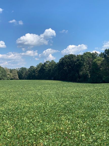 Farm and Ranch in Newberry County, South Carolina