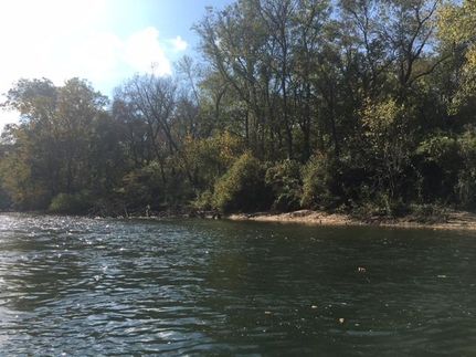 Undeveloped Land in Stone County, Arkansas