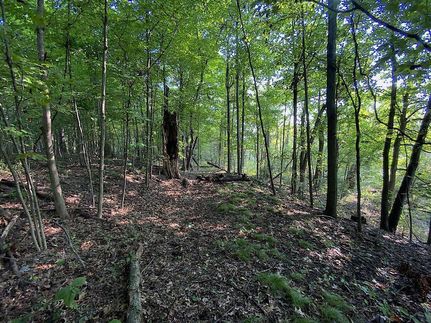 Recreational Property in Coshocton County, Ohio