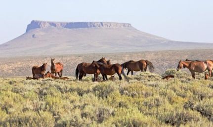 Farm and Ranch in Carbon County, Wyoming
