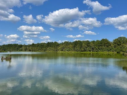 Timberland Property in Pitt County, North Carolina
