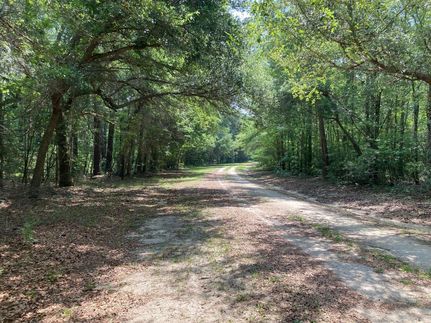 Timberland Property in Clarendon County, South Carolina