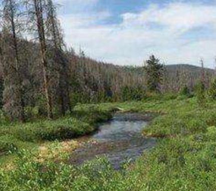 Riverfront Property in Eagle County, Colorado