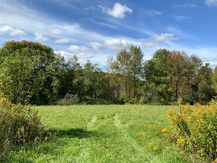 Undeveloped Land in Chenango County, New York