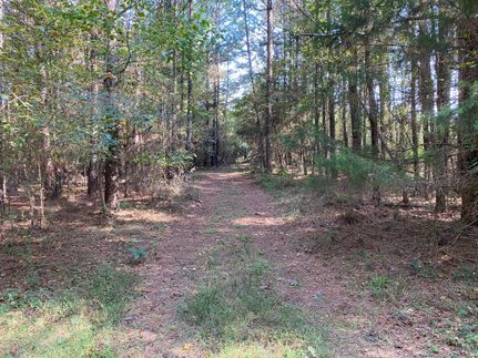 Farm and Ranch in Jackson County, Georgia