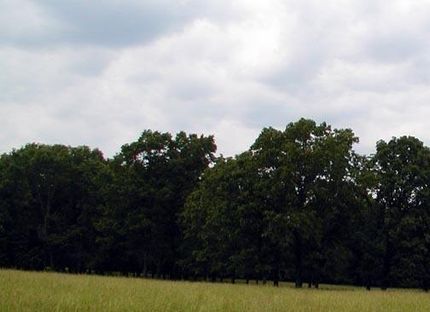 Farm and Ranch for sale in Howell County, Missouri