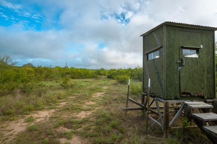 Timberland Property in Karnes County, Texas