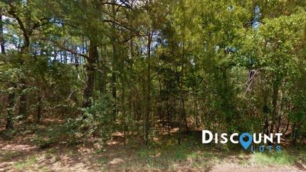 Undeveloped Land in Bastrop County, Texas
