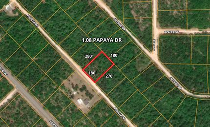 Undeveloped Land in Jackson County, Florida