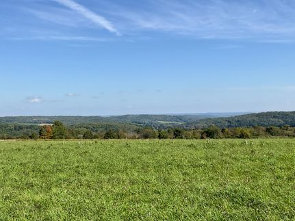 Undeveloped Land in Madison County, New York