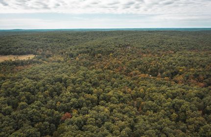 Undeveloped Land in Iron County, Missouri