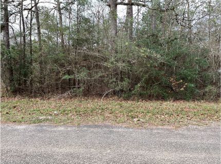 Undeveloped Land for sale in Liberty County, Texas