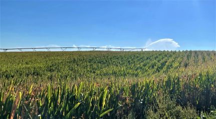 Farm and Ranch in Webster County, Nebraska