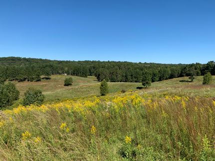 Farm and Ranch in Habersham County, Georgia