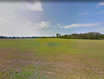 Undeveloped Land in Trinity County, Texas