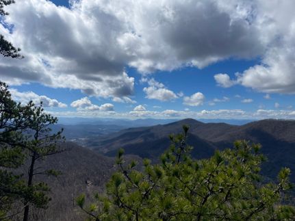 Undeveloped Land in Buncombe County, North Carolina
