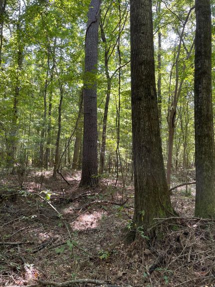 Commercial Property in Hinds County, Mississippi