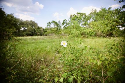 Land in Colorado County, Texas