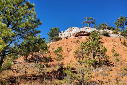 Farm and Ranch in Weston County, Wyoming
