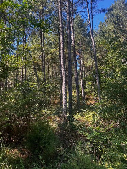 Hunting Property in Hamilton County, Tennessee
