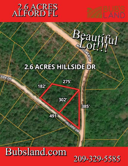 Farm and Ranch in Jackson County, Florida