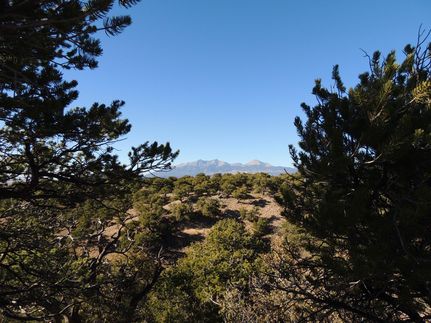 Farm and Ranch in Costilla County, Colorado